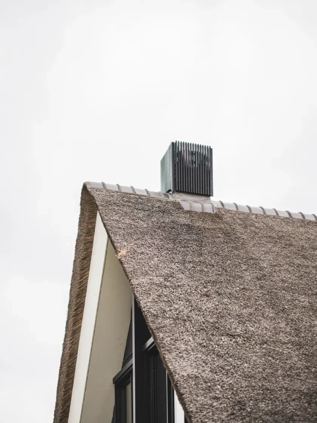 Hedendaagse woning met een riet dak, grote overstek en alluminium schoorsteen onder architectuur van Bongers Architecten en gebouwd door aannemer Buitenhuis Villabouw